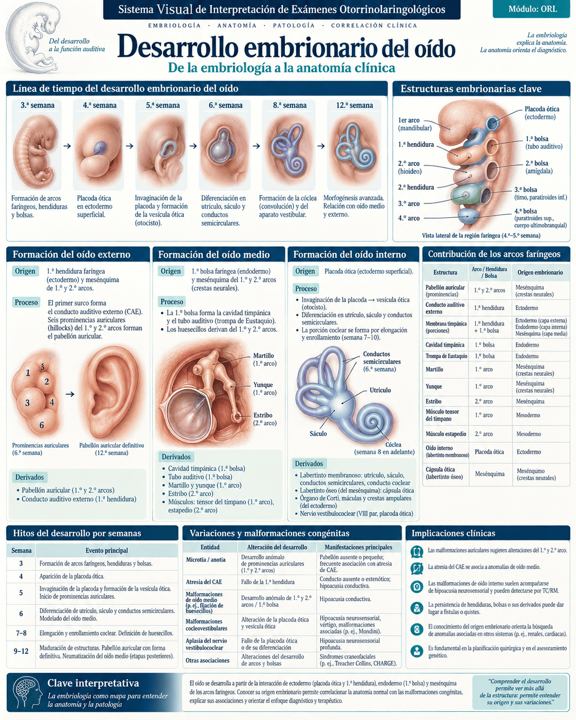 Muestra del sistema ORL: página 3
