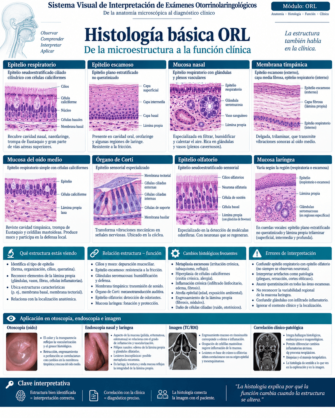 Muestra del sistema ORL: página 4