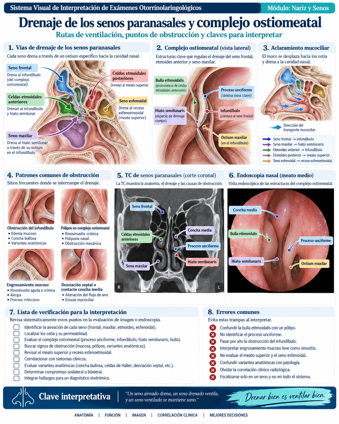 Muestra del sistema ORL: página 8