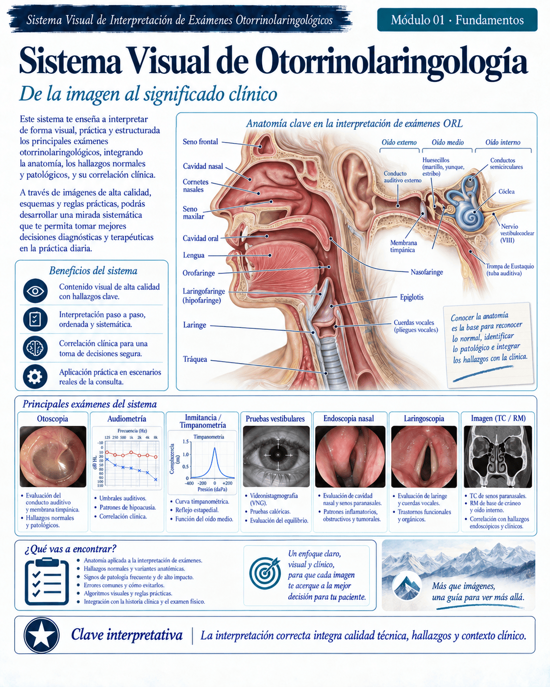 Muestra ilustrada del atlas médico ORL
