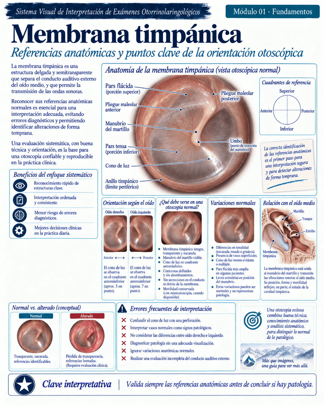 Muestra ilustrada del atlas médico ORL
