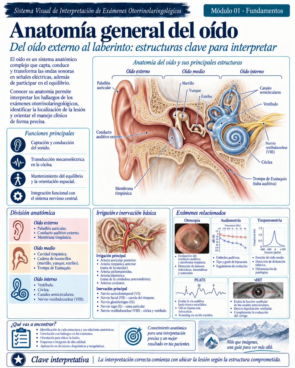Muestra ilustrada del atlas médico ORL