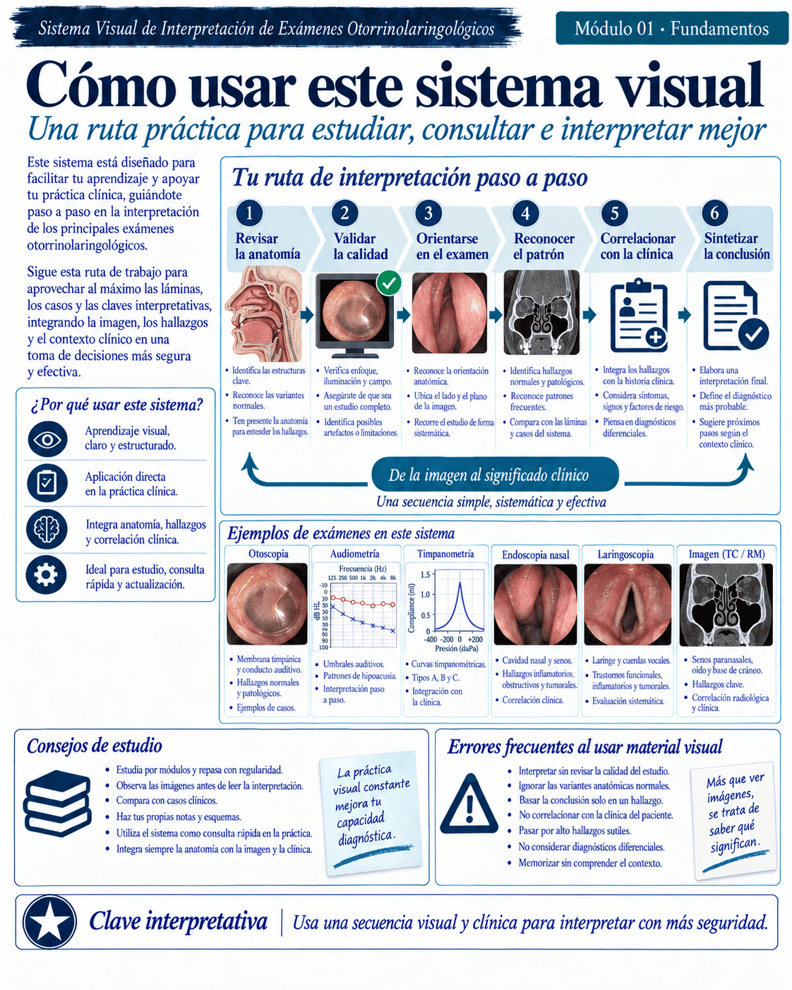 Muestra ilustrada del atlas médico ORL